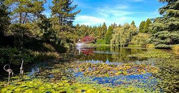 El Jardín Botánico VanDusen en Vancouver, Canadá