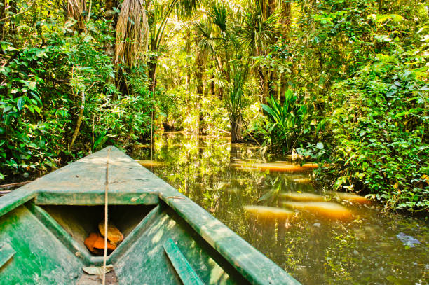 Botes de La selva del Amazonas en Puerto Maldonado, Perú