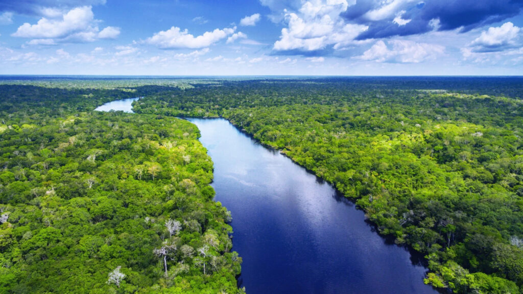 La selva da la Amazona en Puerto Maldonado, Perú