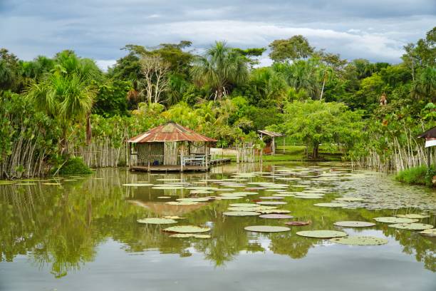 La selva del Amazonas en Perú