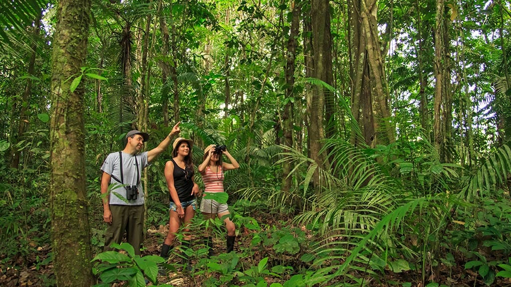 La selva del Amazonas en Puerto Maldonado, Perú