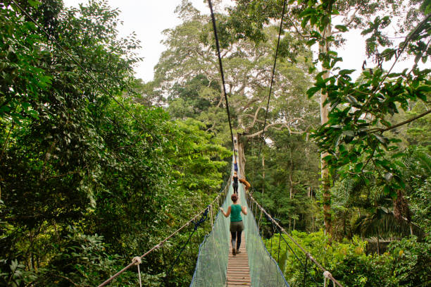 Reserva nacional del Tambopata en la selva Amazónica en Perú